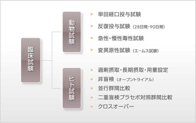 ヒト試験　動物試験　ヒト試験